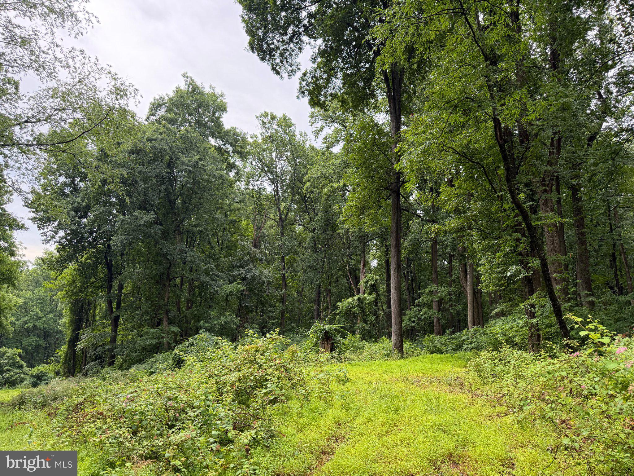 5-9 Oak Ridge Trail Fairfield, PA 17320 - Photo 2 of 5