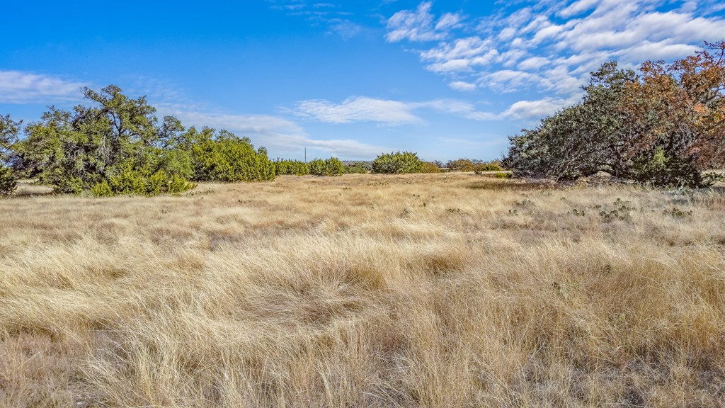 234 Lower Reservation Road Harper, TX 78631 - Photo 15 of 15