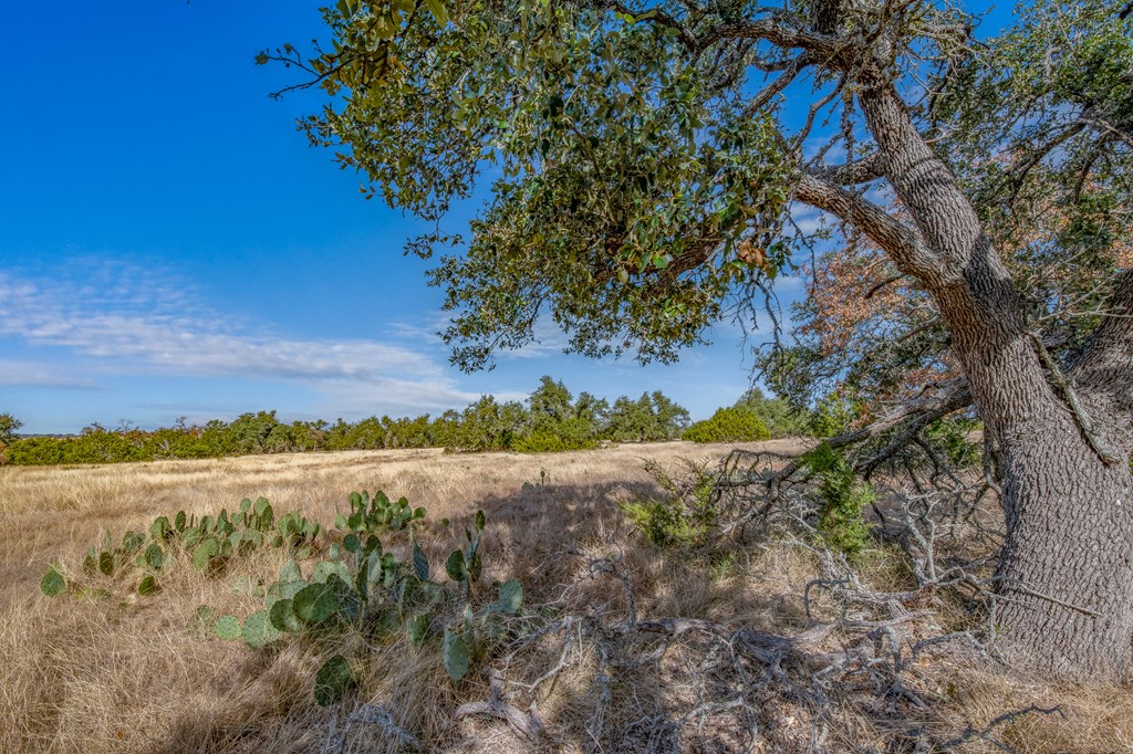 234 Lower Reservation Road Harper, TX 78631 - Photo 5 of 15