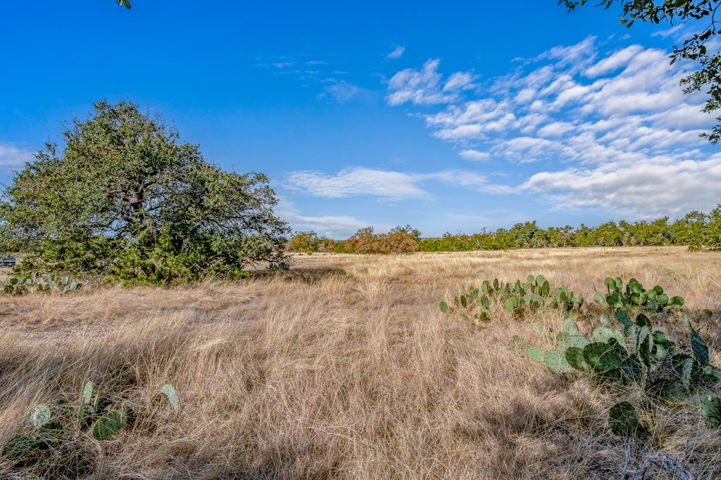 234 Lower Reservation Road Harper, TX 78631 - Photo 6 of 15