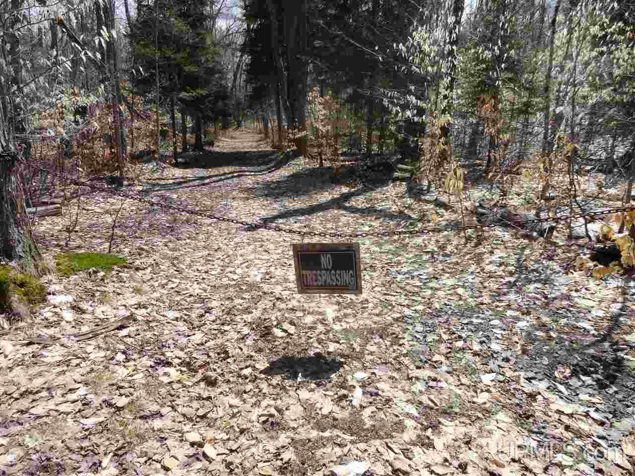 14392 N Crooked Lake Road Shingleton, MI 49884 - Photo 3 of 34