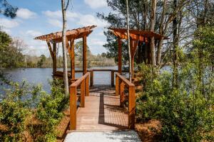 201 Threaded Fern Street Summerville, SC 29485 - Photo 14 of 17 20250821195319183804000000 - Copy - Copy