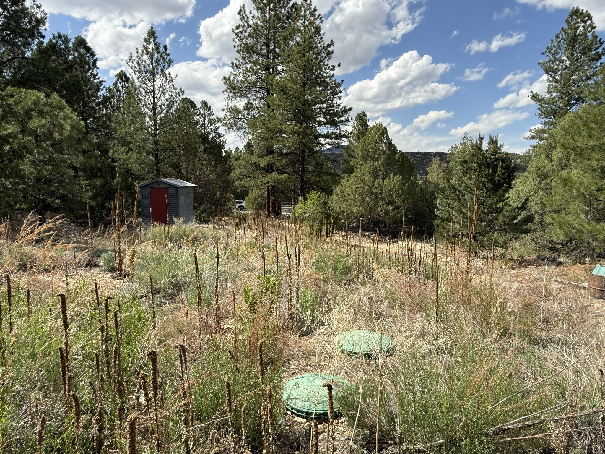 2318 Old Red River Road Questa, NM 87556 - Photo 28 of 36