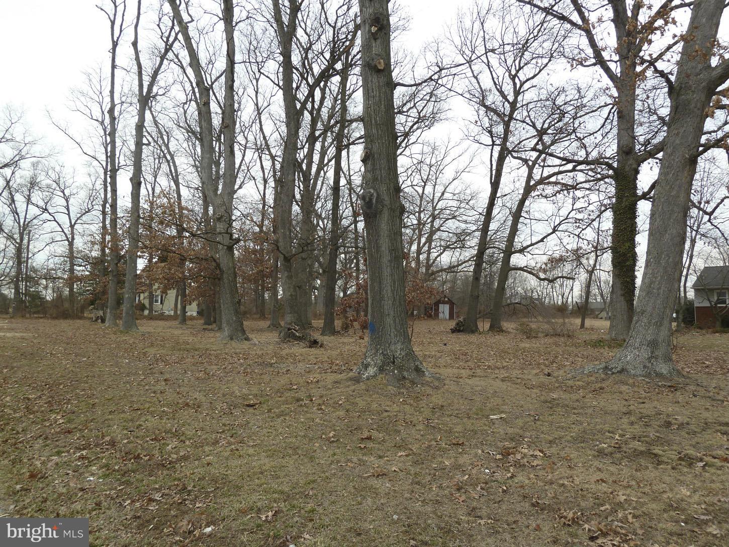Cherry Hill Road Silver Spring, MD 20904 - Photo 3 of 3 Lot