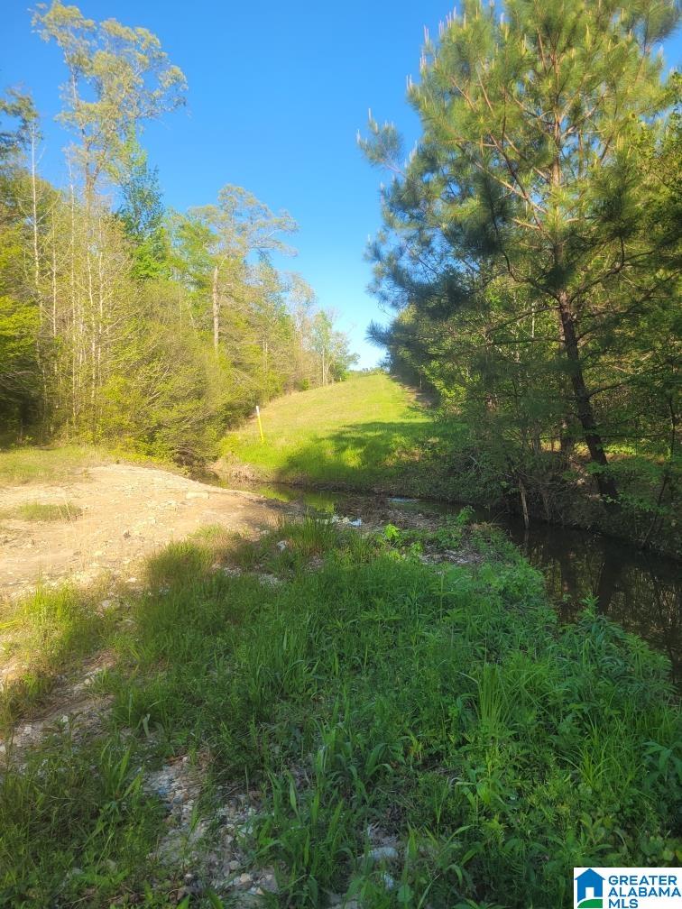 755 Pine Ridge Road, Unit 755 Sylacauga, AL 35151 - Photo 6 of 25 Gallery Image 6