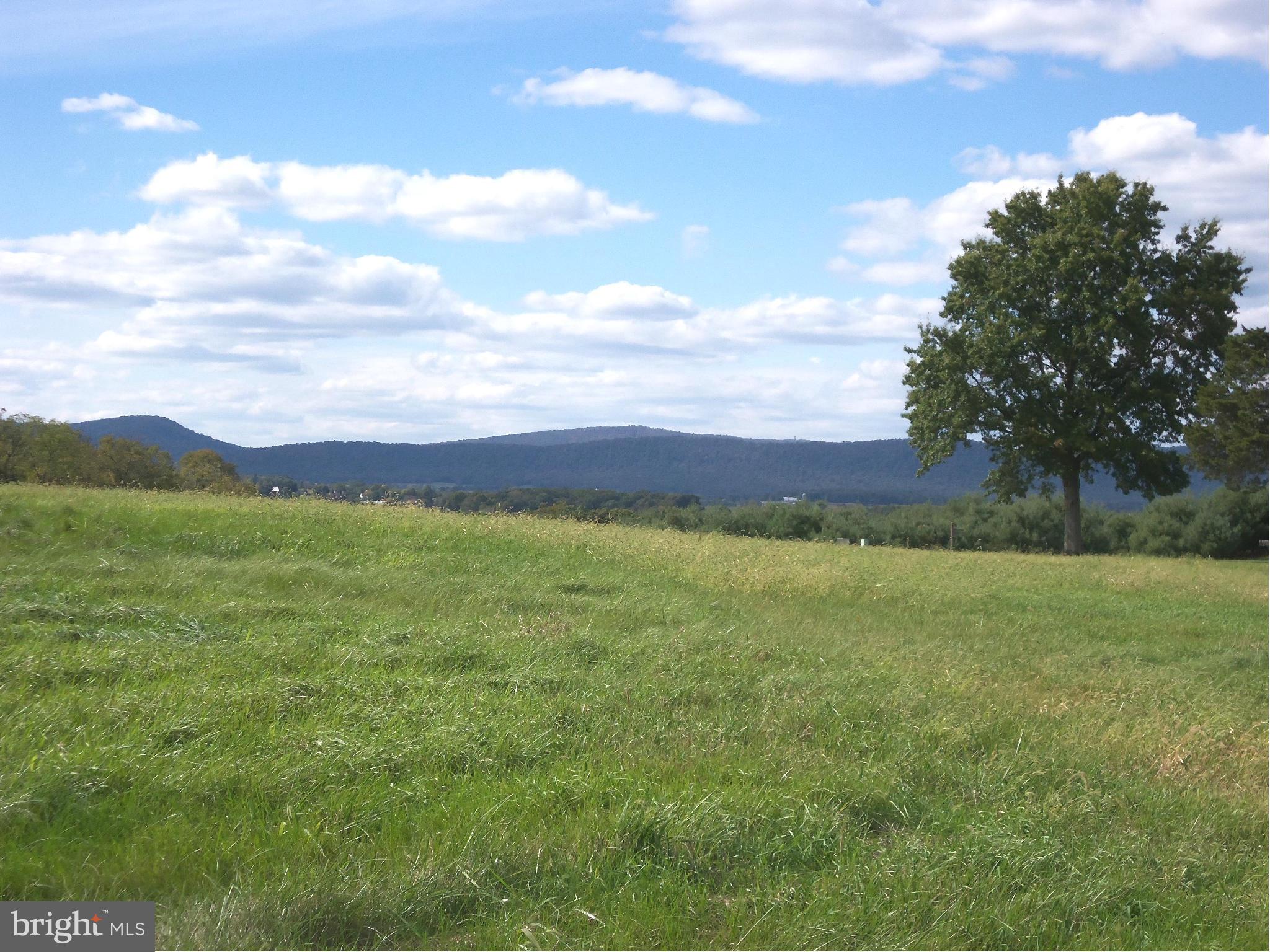 18561 Independence Road Clear Spring, MD 21722 - Photo 3 of 5 Beautiful View of the Mountains