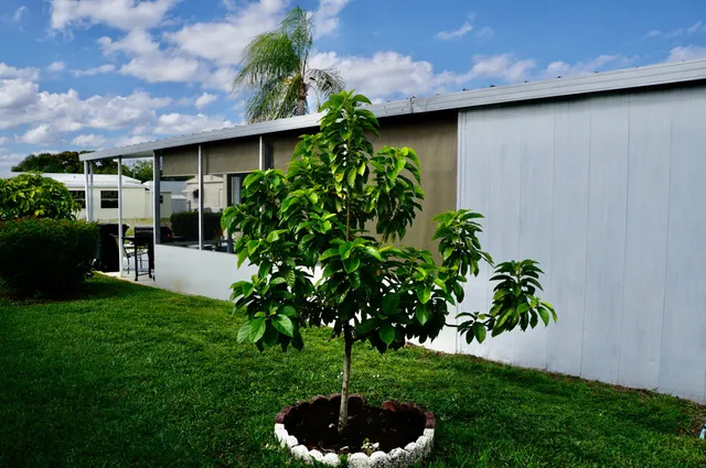 a house with lots of green space