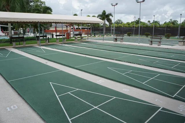 a view of a tennis ground with large trees