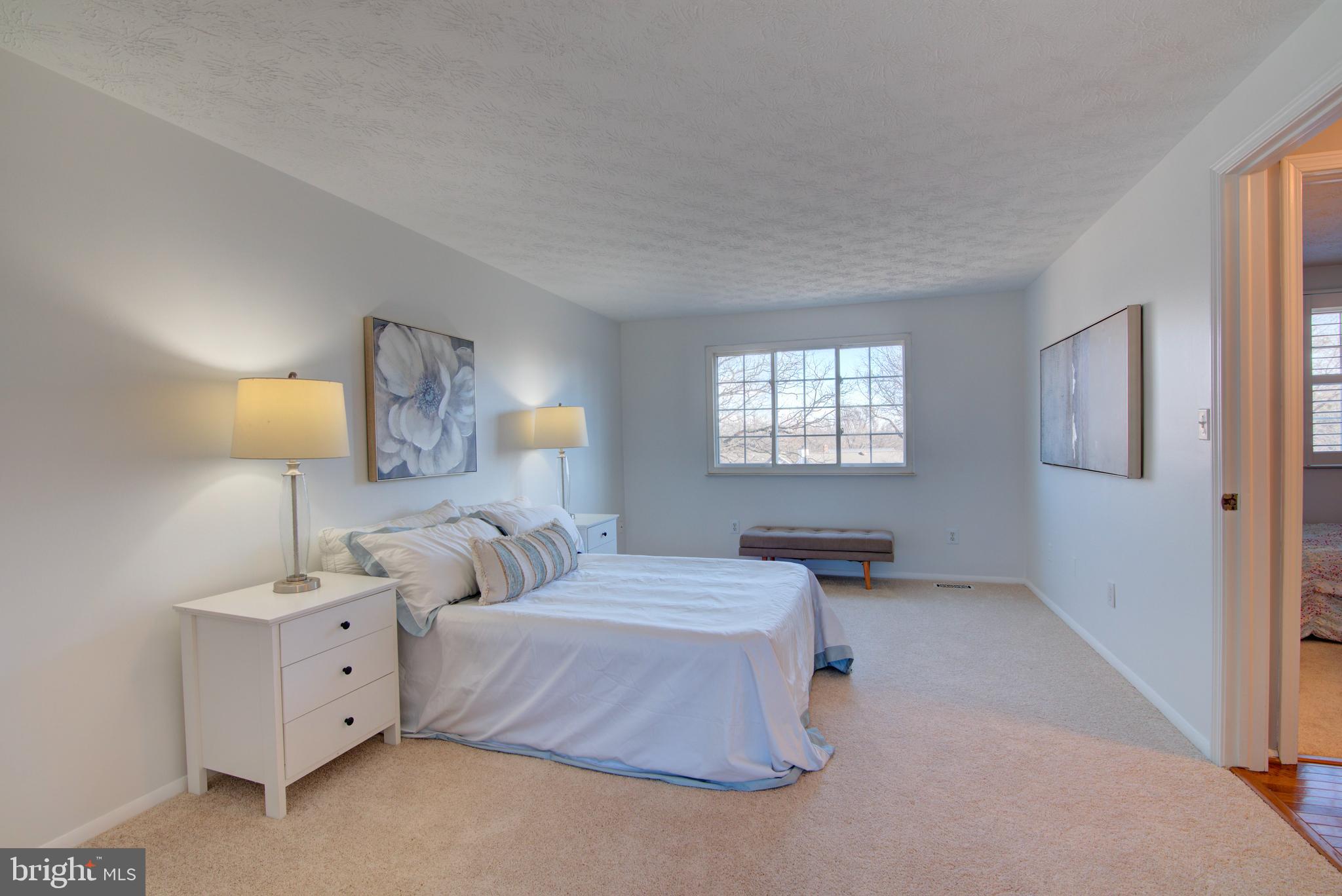 304 Aaron Court Sterling, VA 20164 - Photo 18 of 28 Ensuite Primary Bedroom with New Carpet.