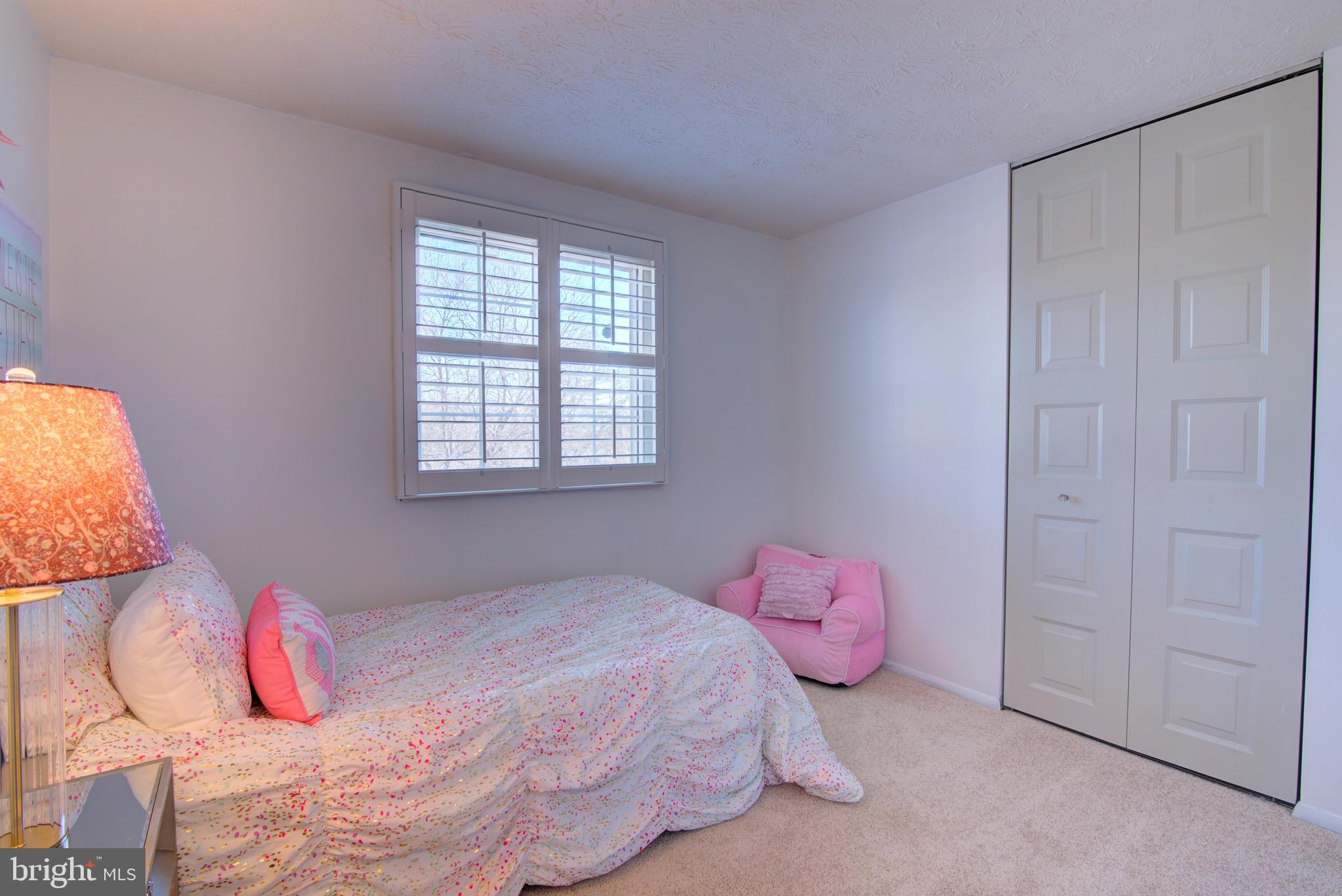 304 Aaron Court Sterling, VA 20164 - Photo 21 of 28 Upper Level Bedroom #2 with Plantation Shutters.