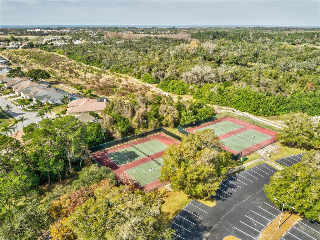 8401 Pavilion Drive Hudson, FL 34667 - Photo 80 of 81 an aerial view of residential houses with outdoor space