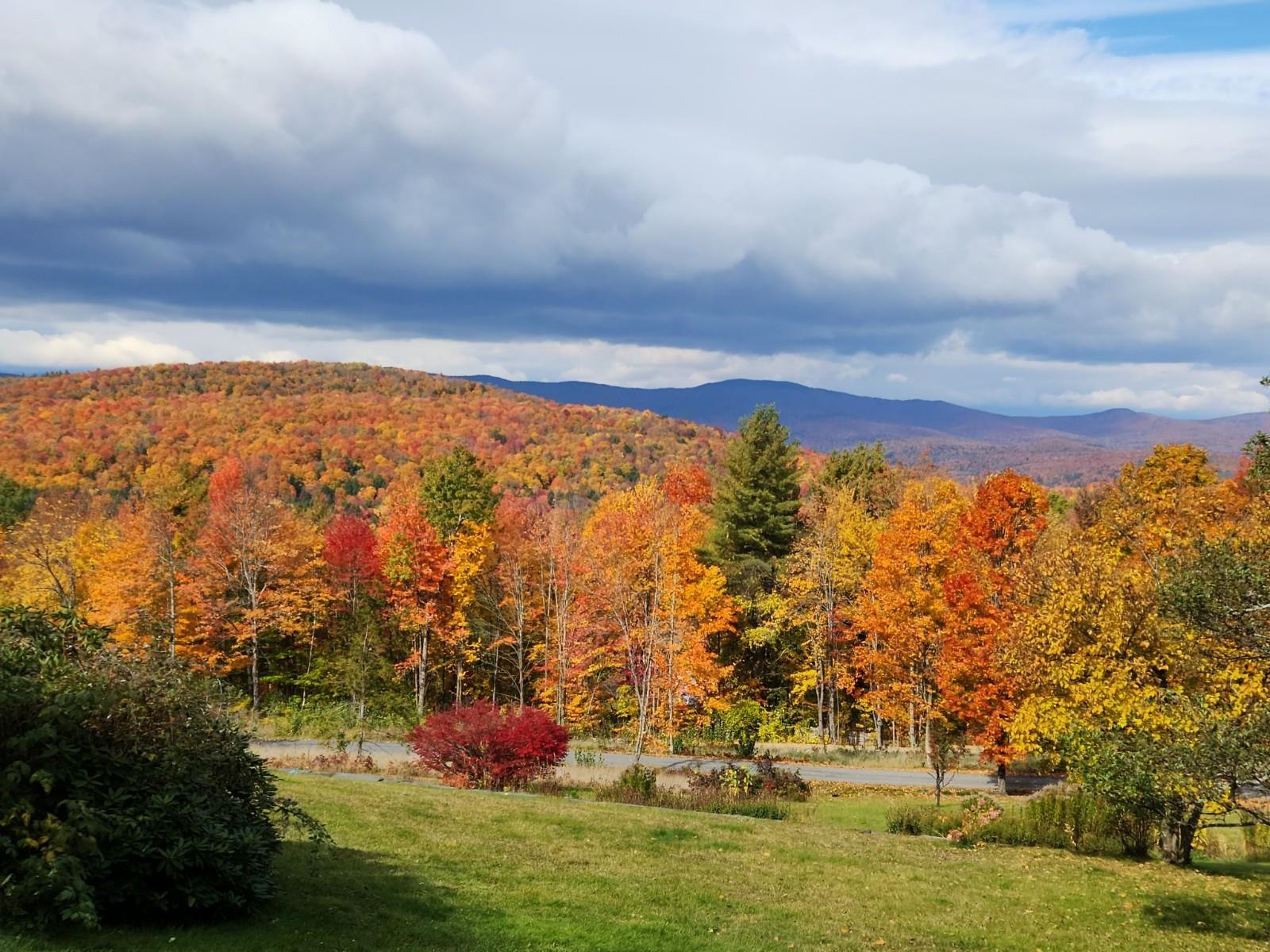 2545 Winch Hill Road Roxbury, VT 05663 - Photo 47 of 51