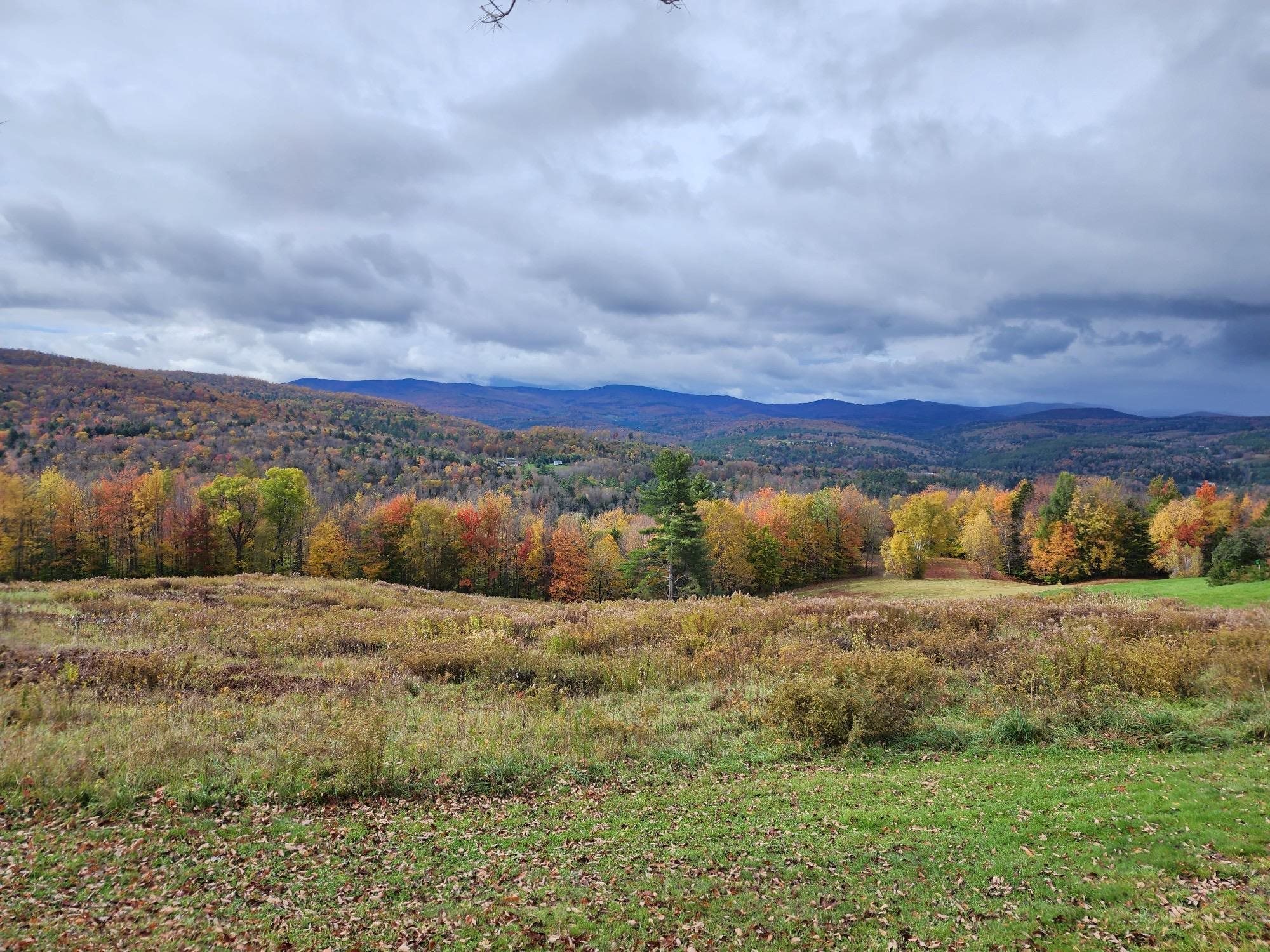 2545 Winch Hill Road Roxbury, VT 05663 - Photo 51 of 51
