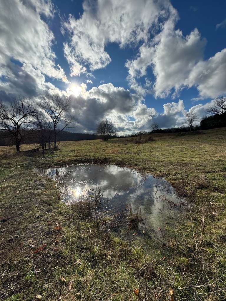 290 Gladdice Road Pleasant Shade, TN 37145 - Photo 36 of 41