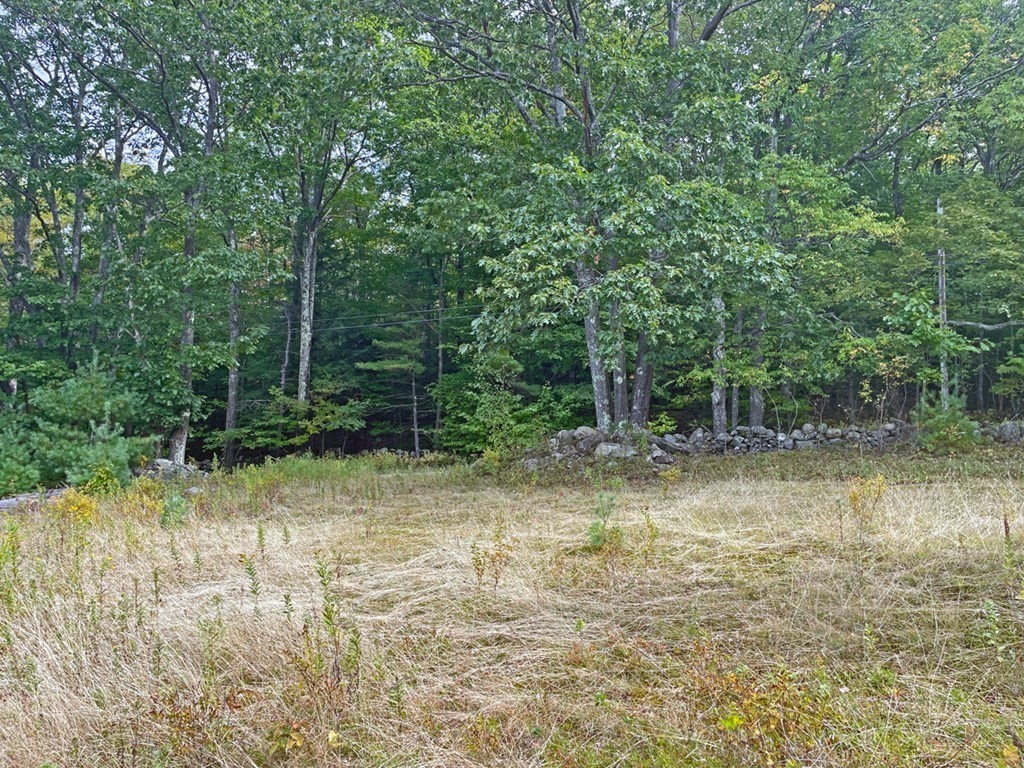 0 Royer Road Heath, MA 01346 - Photo 5 of 9 Gallery Image 5