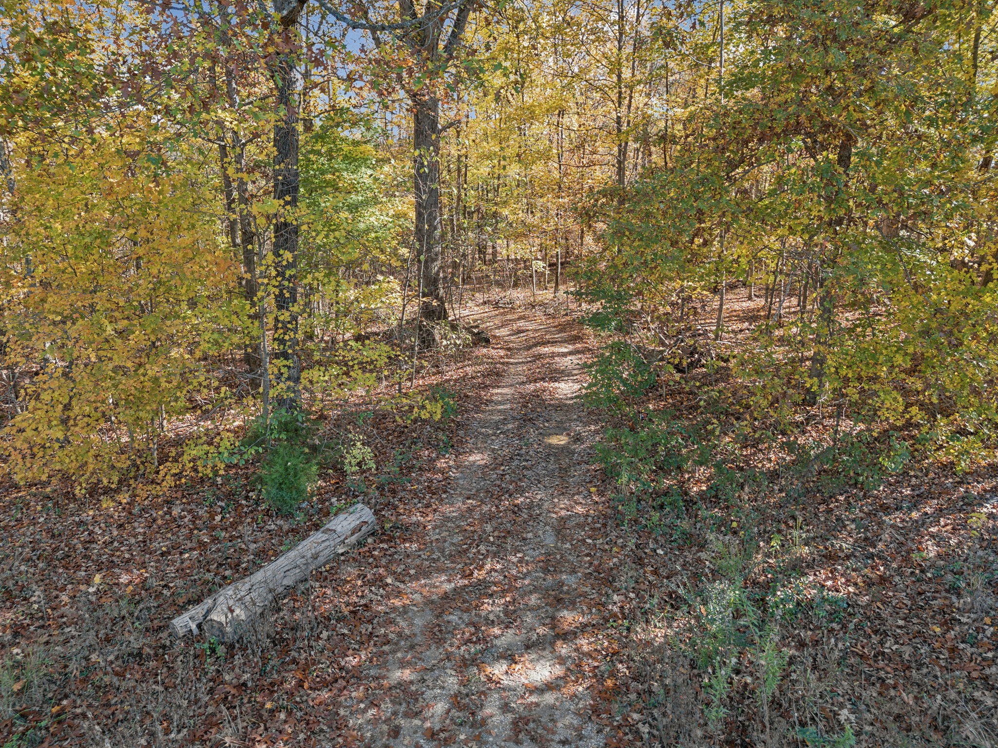 3097 Battle Creek Road Springfield, TN 37172 - Photo 18 of 22 a view of a yard with a tree