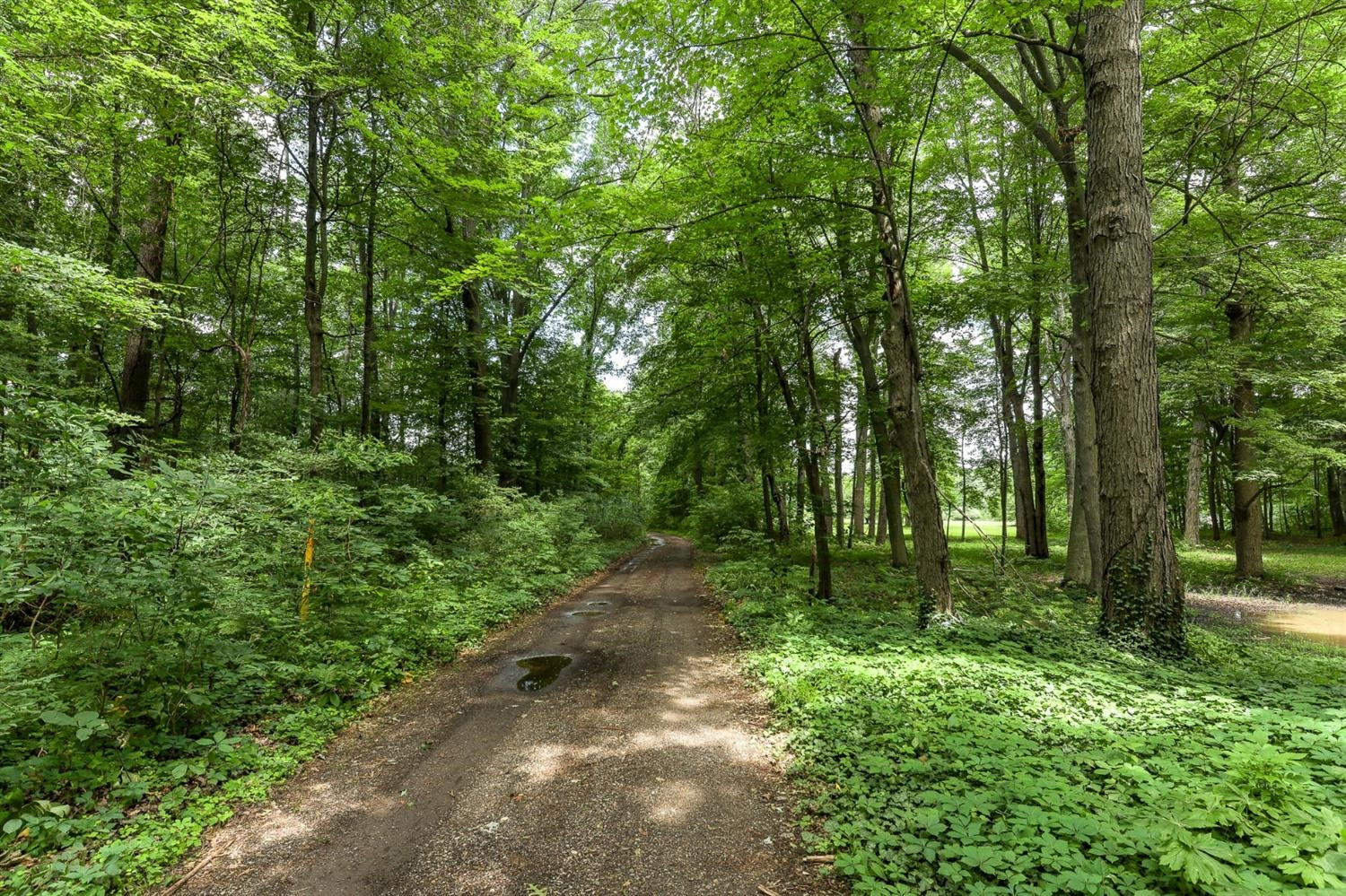10183 Judd Road Willis, MI 48191 - Photo 46 of 46 Photo 46