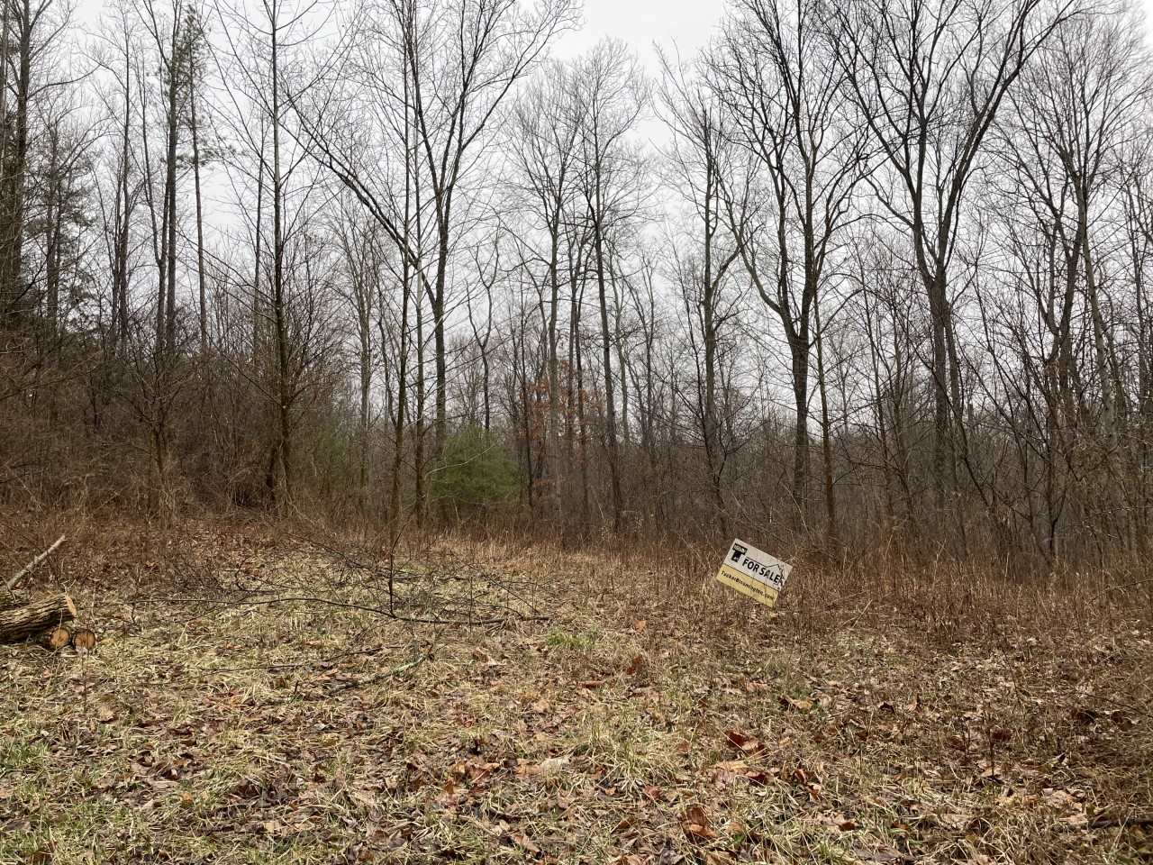 8910 West Elwren Road Bloomington, IN 47403 - Photo 2 of 4 Gallery Image 2