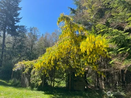 $995,000 | 91 Coastline Drive, Orcas Island, WA 98279