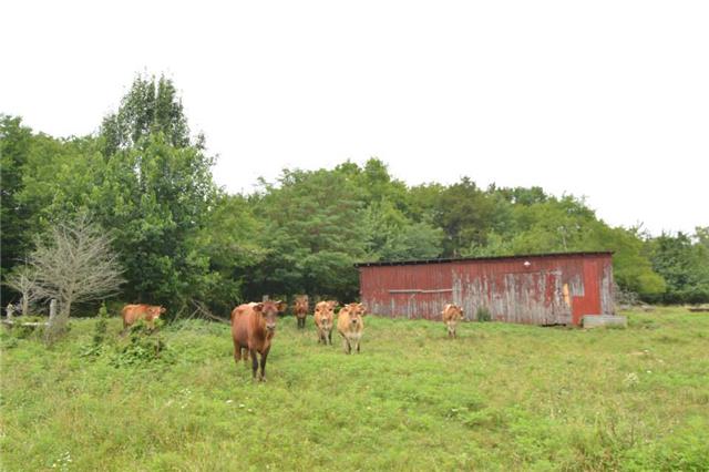 1820 Fellowship Road Mount Juliet, TN 37122 - Photo 1 of 11 Working farm with fencing; barn; well, pond and city water