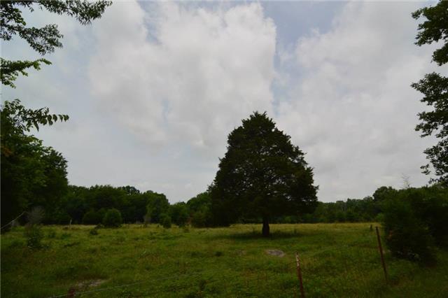 1820 Fellowship Road Mount Juliet, TN 37122 - Photo 3 of 11 Field to the right of the garage would make a great building site