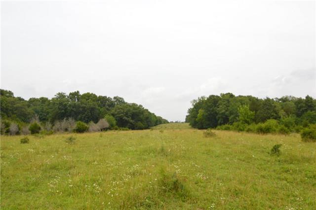 1820 Fellowship Road Mount Juliet, TN 37122 - Photo 7 of 11 Gas line crosses the property creating even more pasture and a great view (this view looks northeast