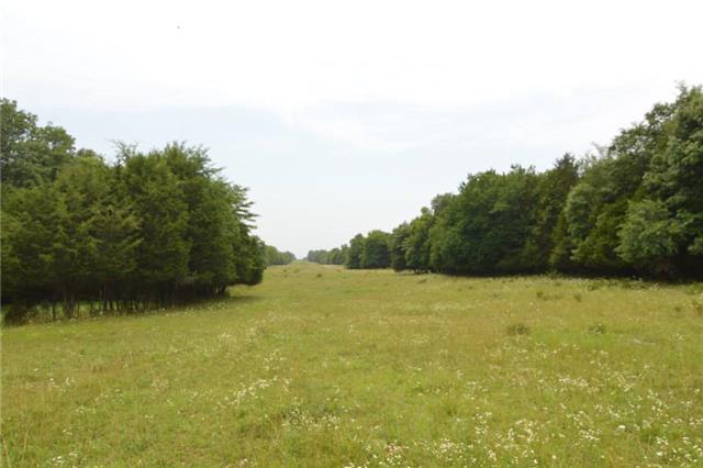 1820 Fellowship Road Mount Juliet, TN 37122 - Photo 8 of 11 Gas line easement looking southwest