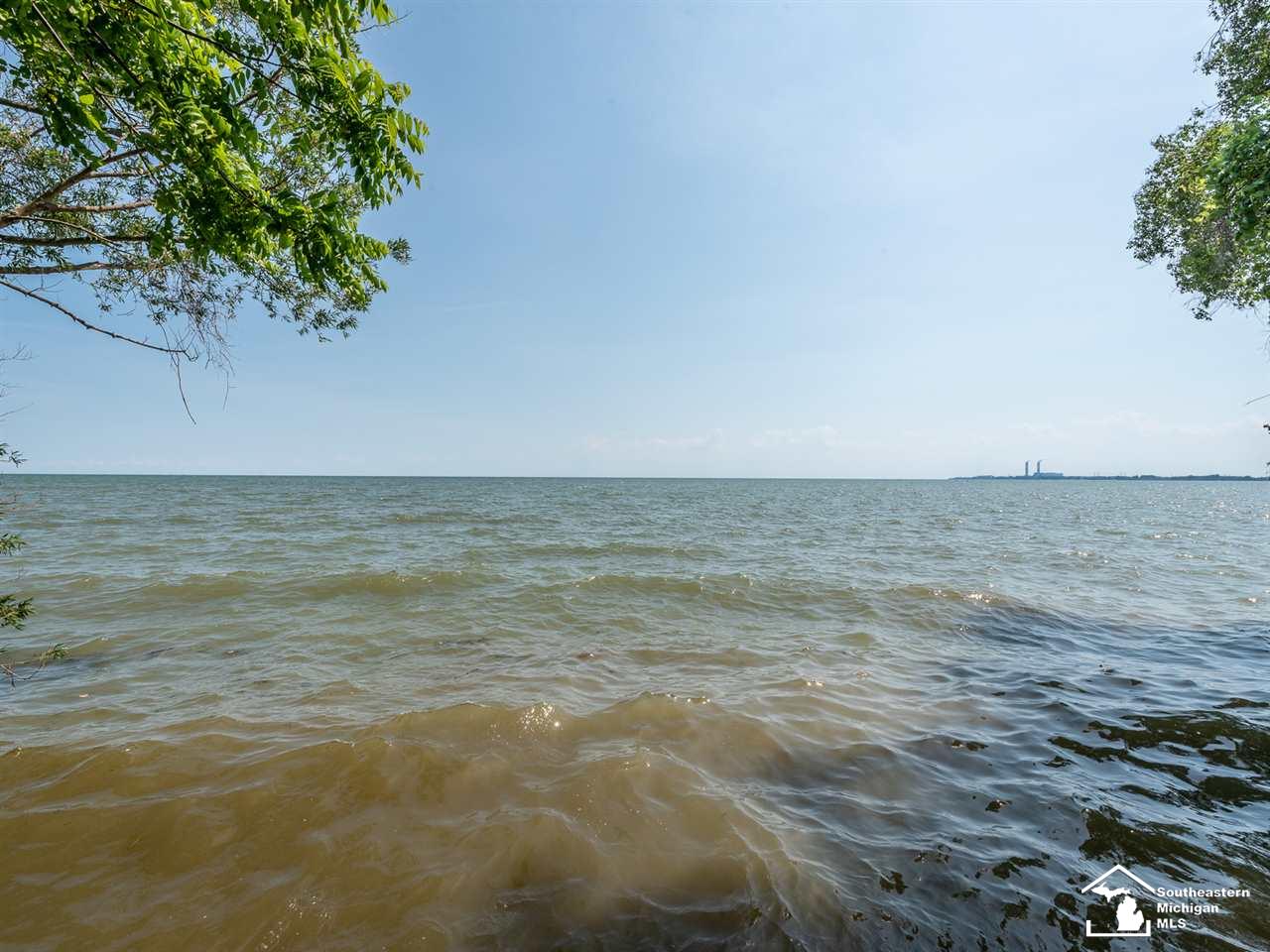 0 Labo Road Newport, MI 48166 - Photo 3 of 3