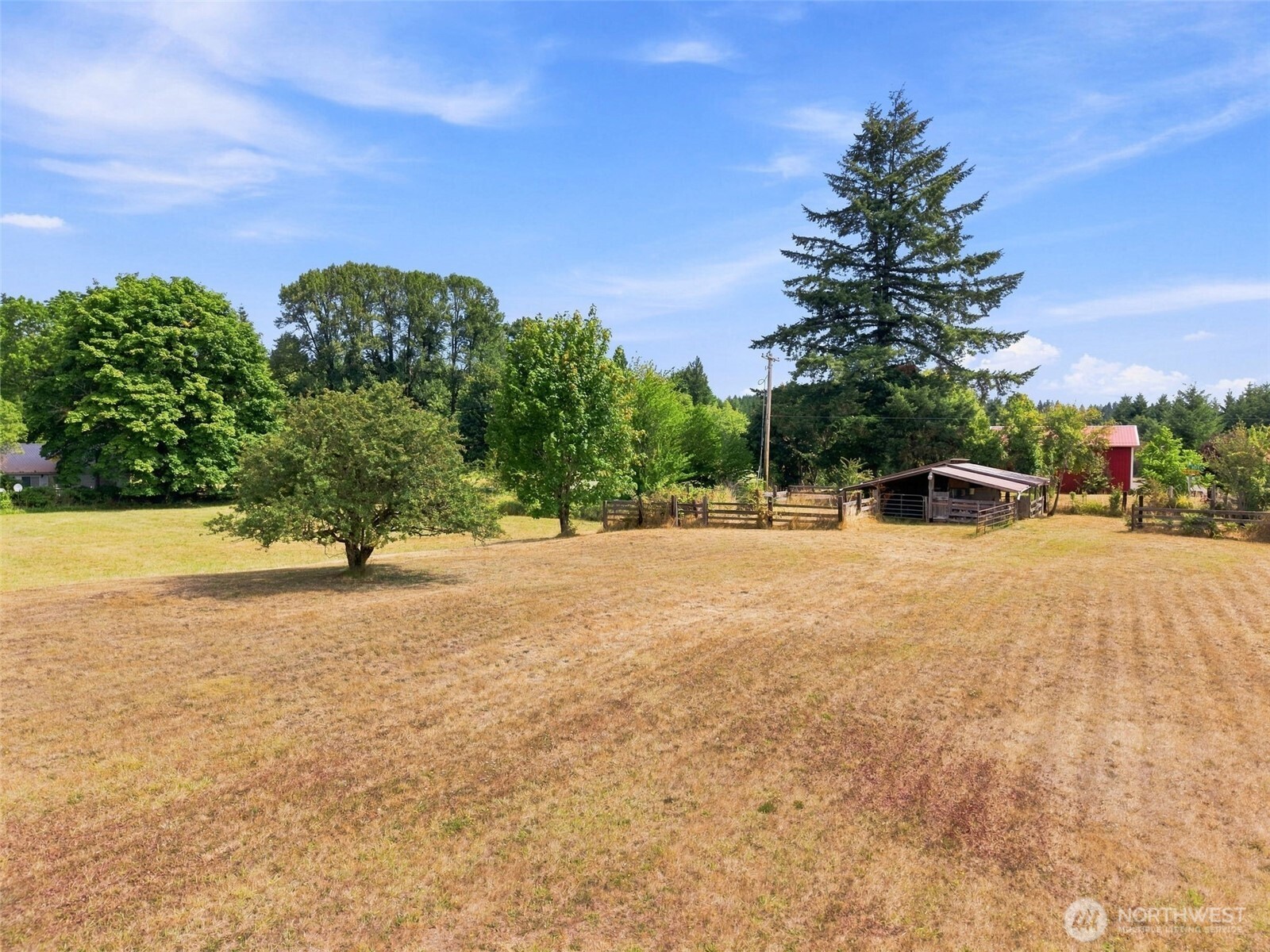 0 Cedar Doty, WA 98539 - Photo 15 of 25 Gallery Image 15