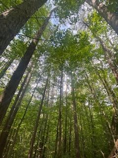 0 Sam Holdridge Road West Burlington, NY 13482 - Photo 2 of 11