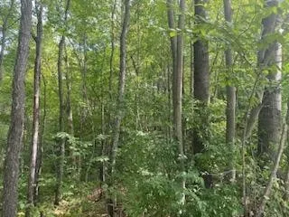 $34,900 | 0 Sam Holdridge Road, West Burlington, NY 13482