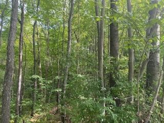 0 Sam Holdridge Road West Burlington, NY 13482 - Photo 3 of 11