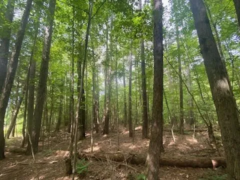 $34,900 | 0 Sam Holdridge Road, West Burlington, NY 13482