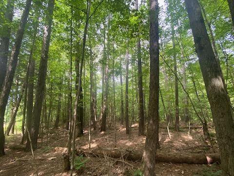 0 Sam Holdridge Road West Burlington, NY 13482 - Photo 4 of 11