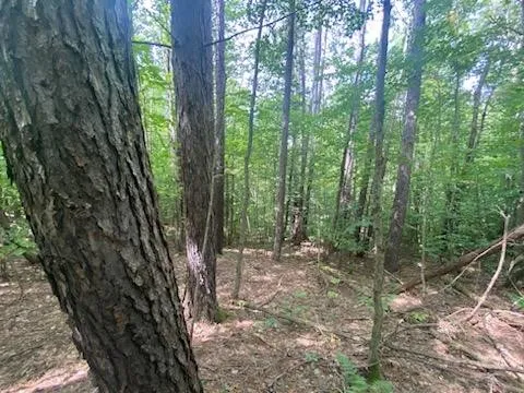 $34,900 | 0 Sam Holdridge Road, West Burlington, NY 13482