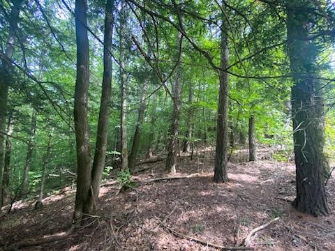 0 Sam Holdridge Road West Burlington, NY 13482 - Photo 6 of 11