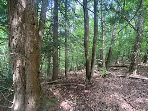 $34,900 | 0 Sam Holdridge Road, West Burlington, NY 13482