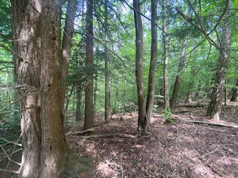 0 Sam Holdridge Road West Burlington, NY 13482 - Photo 7 of 11