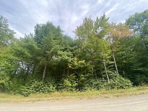 0 Sam Holdridge Road West Burlington, NY 13482 - Photo 8 of 11