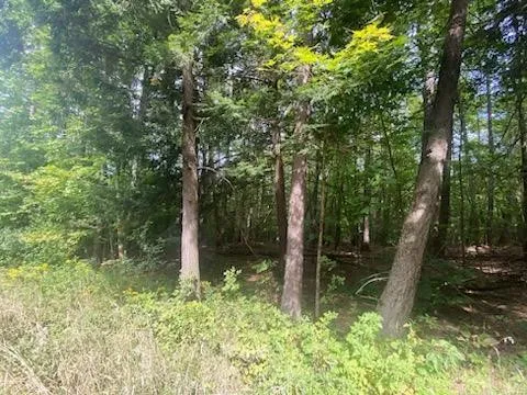 $34,900 | 0 Sam Holdridge Road, West Burlington, NY 13482