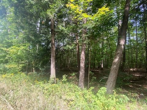 0 Sam Holdridge Road West Burlington, NY 13482 - Photo 9 of 11