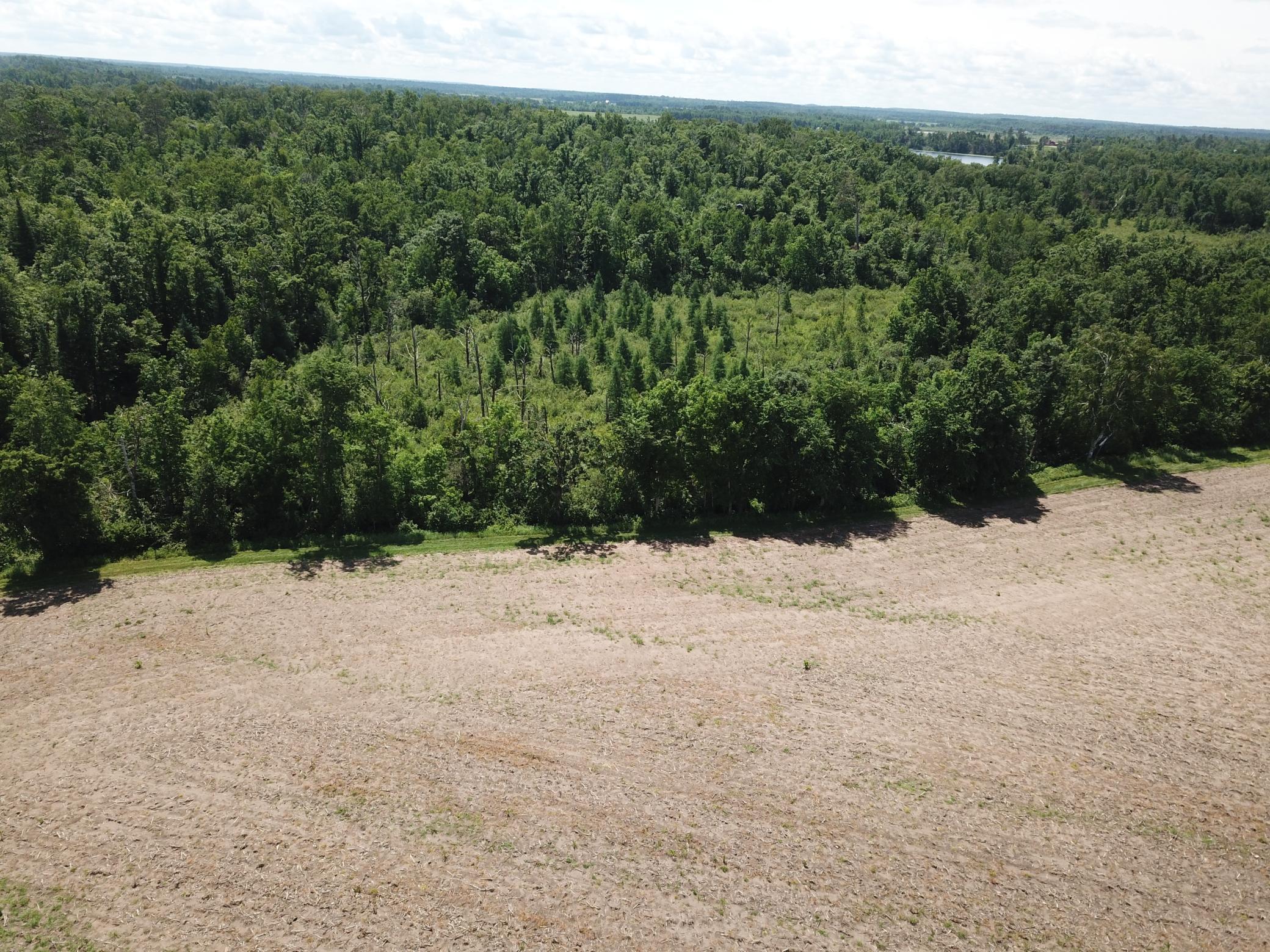 Tbd Boot Lake Road Southwest Bemidji, MN 56601 - Photo 18 of 55