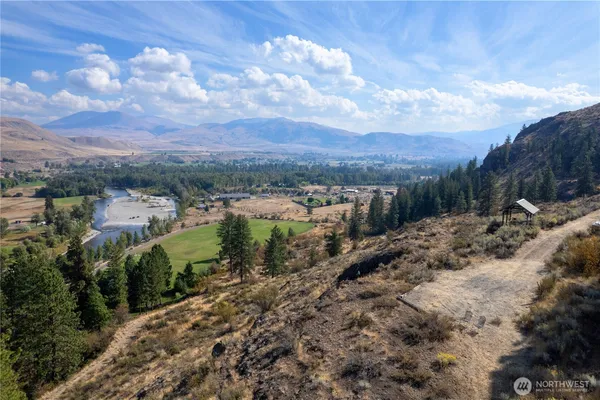 a view of a dry yard with lots of trees