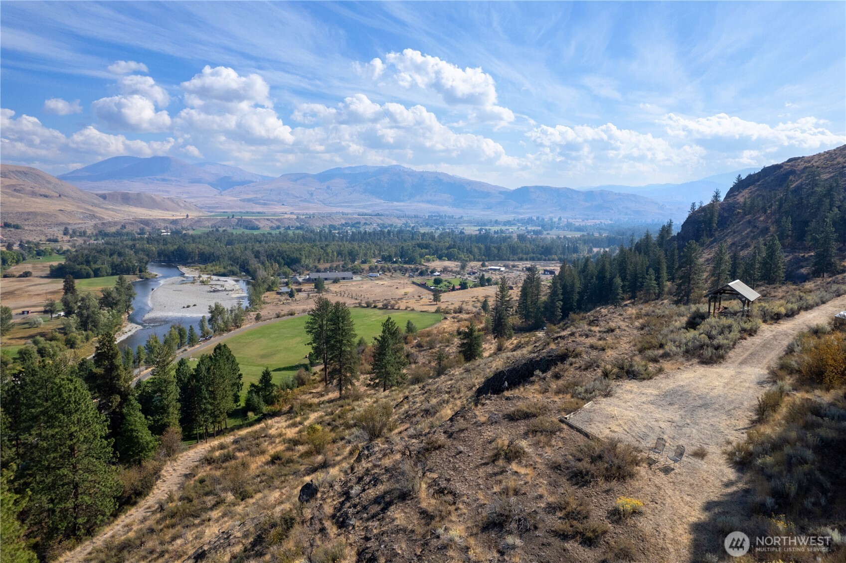 a view of a dry yard with lots of trees