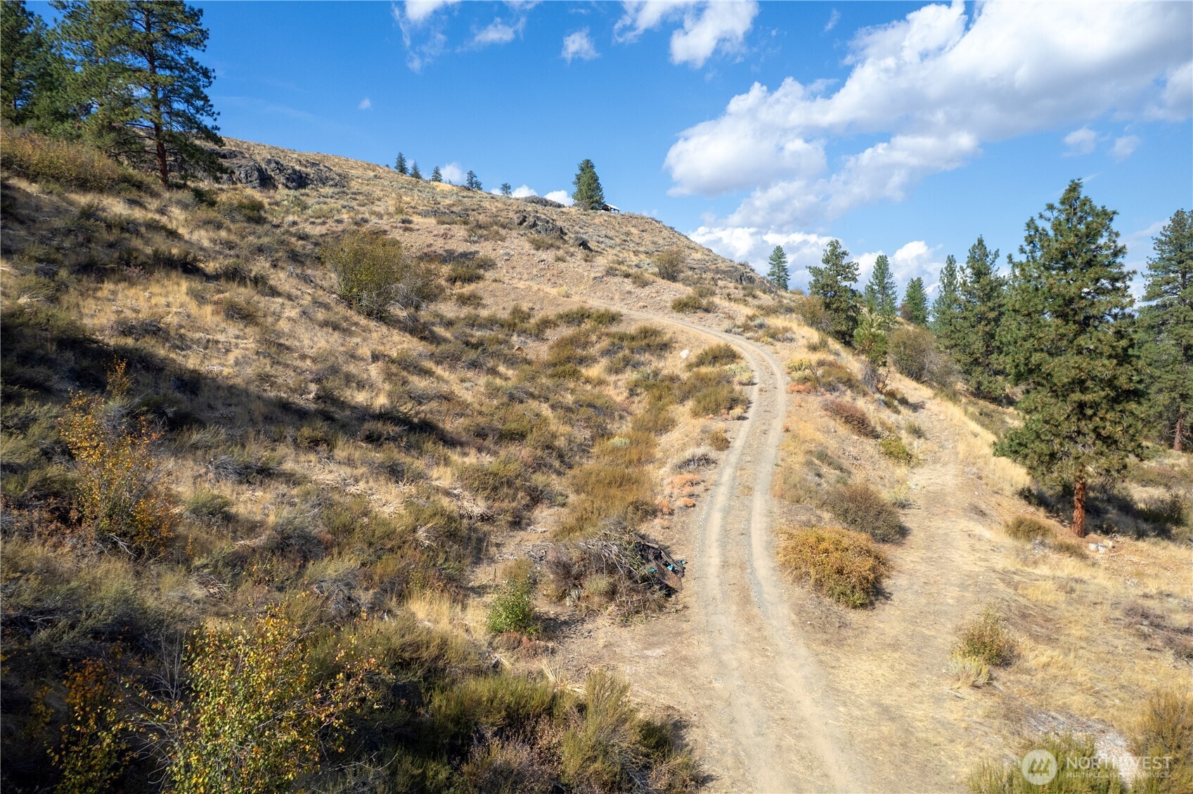 803 D Twisp Carlton Road Twisp, WA 98856 - Photo 11 of 16 a view of a sky