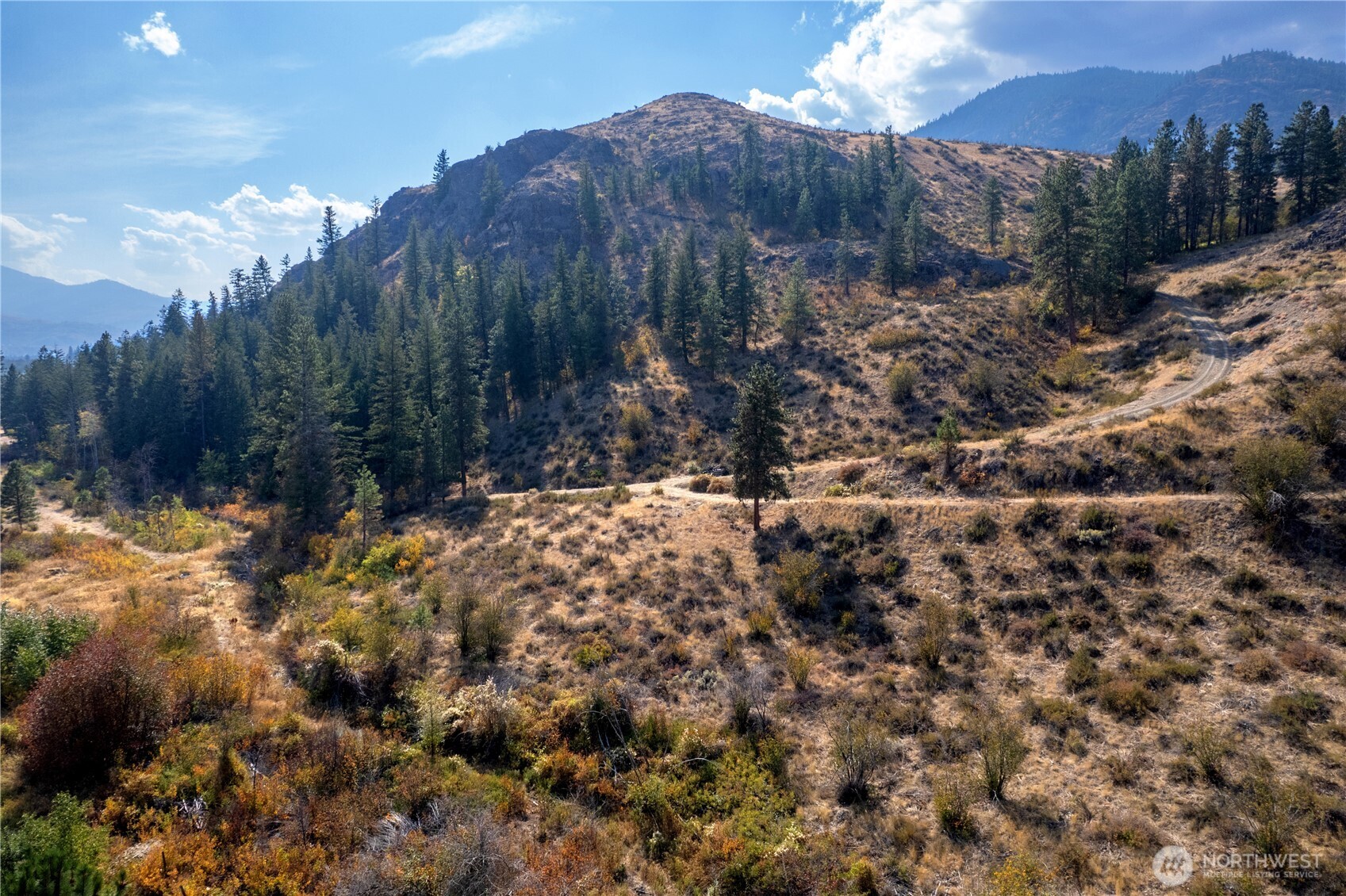 803 D Twisp Carlton Road Twisp, WA 98856 - Photo 14 of 16 a view of a yard with a tree