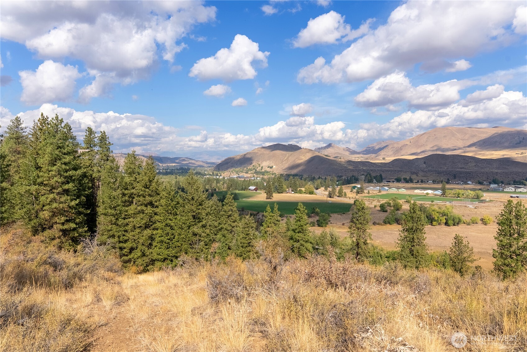 803 D Twisp Carlton Road Twisp, WA 98856 - Photo 15 of 16 a view of lake