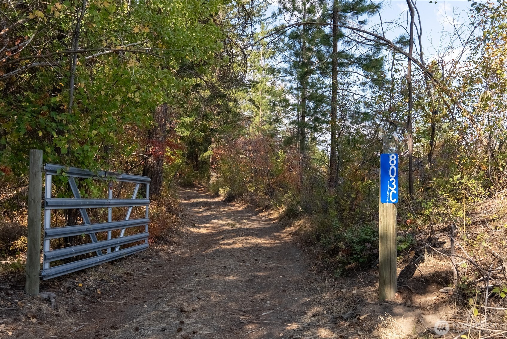803 D Twisp Carlton Road Twisp, WA 98856 - Photo 5 of 16 a view of a wooden house with a yard
