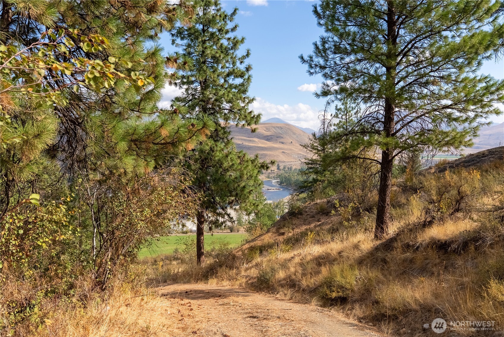 803 D Twisp Carlton Road Twisp, WA 98856 - Photo 6 of 16 a view of a trees with a tree