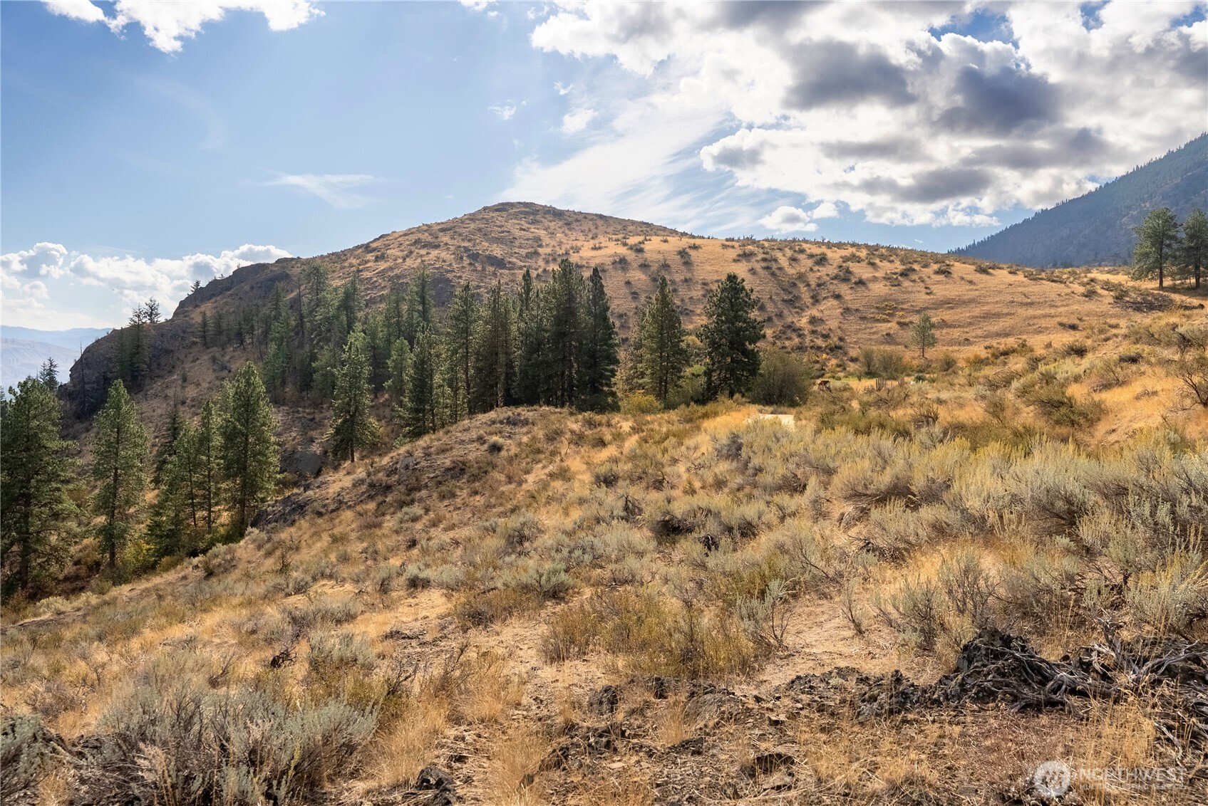 803 D Twisp Carlton Road Twisp, WA 98856 - Photo 8 of 16 a view of a dry yard